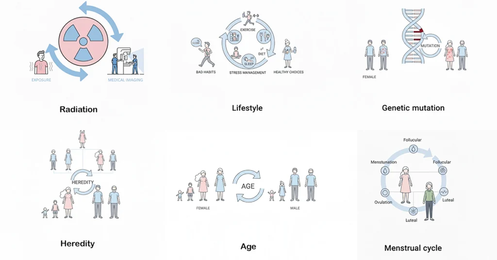 Illustration showing major breast cancer risk factors like lifestyle, heredity, radiation, and age.